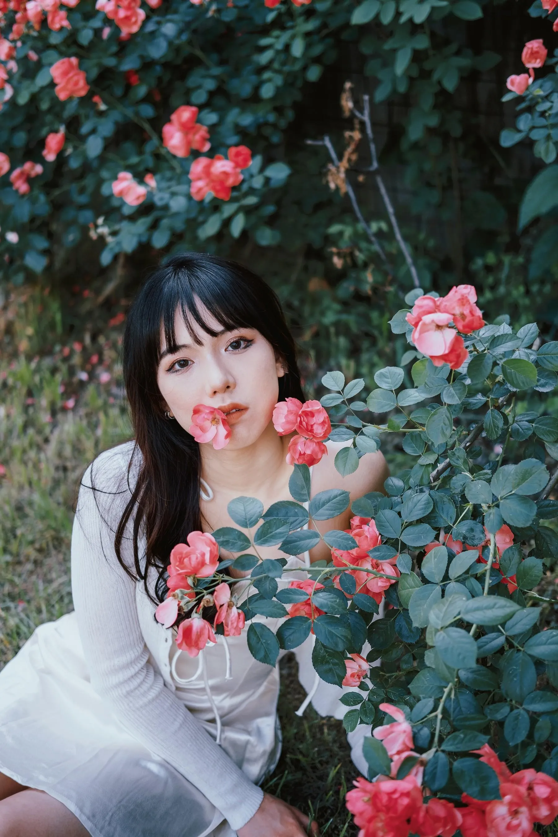 [艺图语] 2022.06.10 蔷薇花下 依依 [25P]插图3